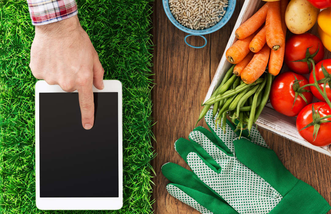 What are smart gardens and smart garden apps?